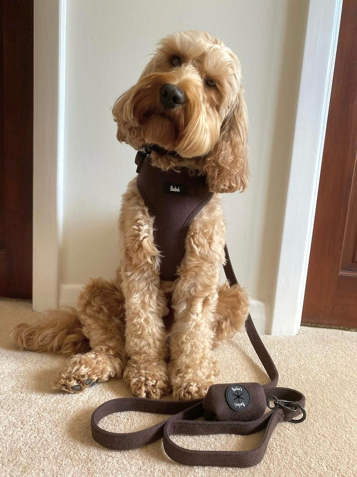 Chestnut Herringbone Harness