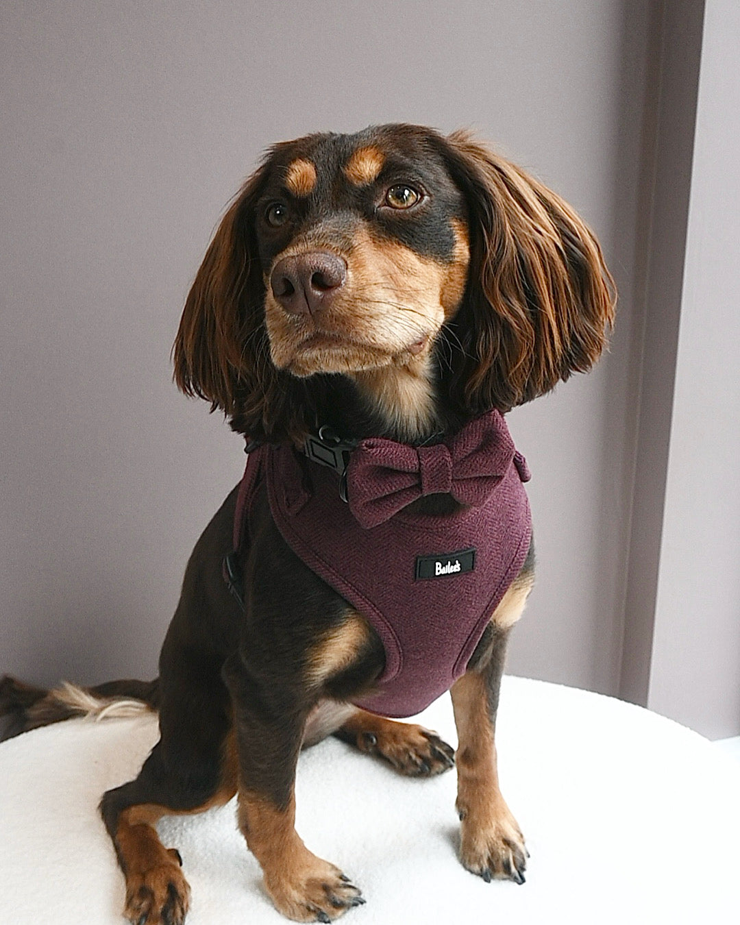 Ruby Herringbone Harness