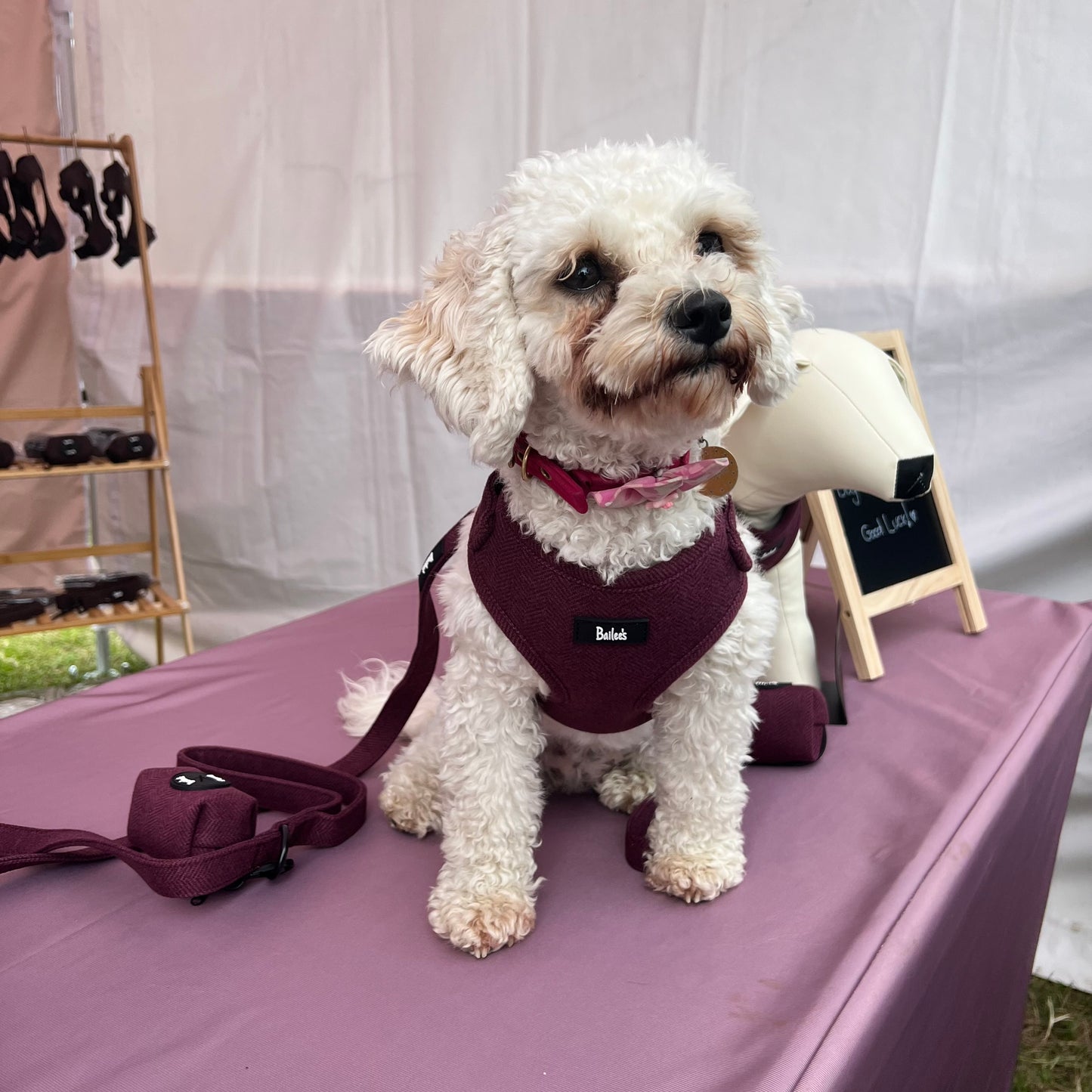 Ruby Herringbone Harness