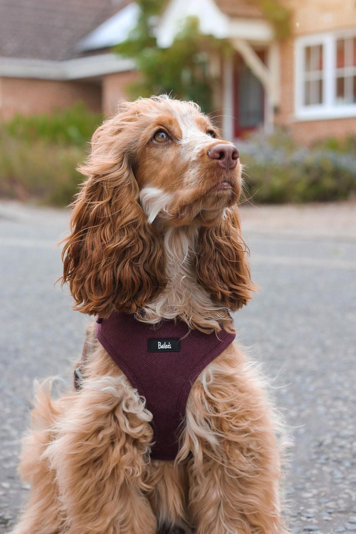 Ruby Herringbone Harness