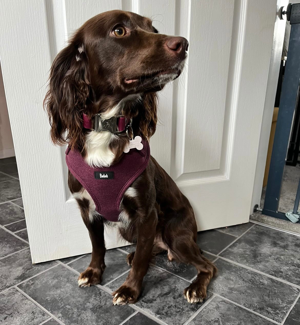 Ruby Herringbone Harness