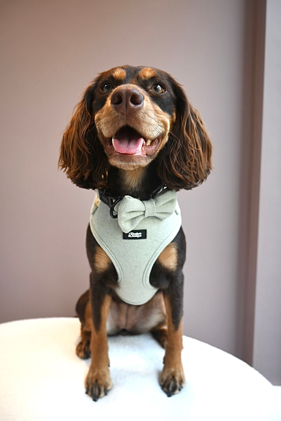 Olive Herringbone Bow Tie