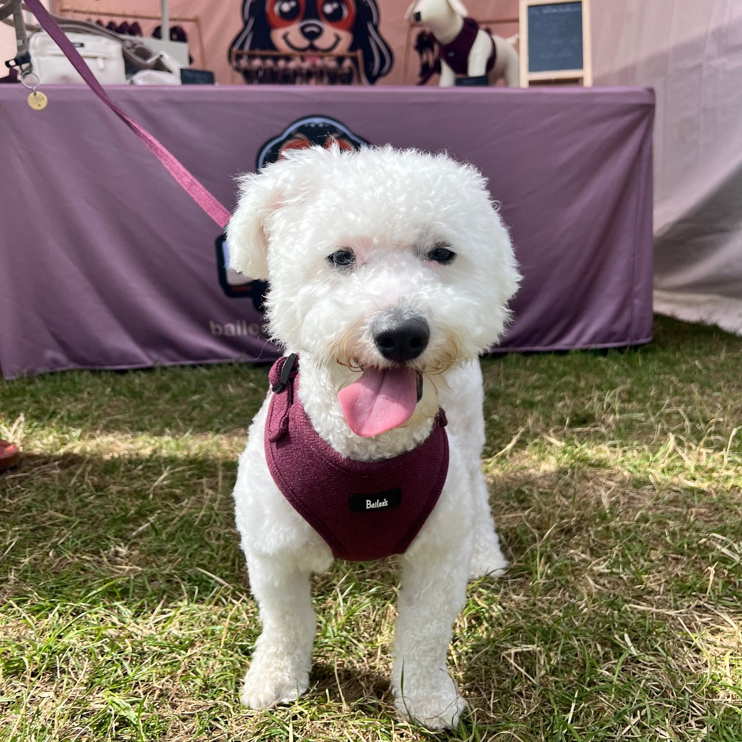 Ruby Herringbone Harness